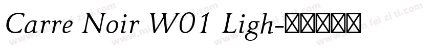 Carre Noir W01 Ligh字体转换